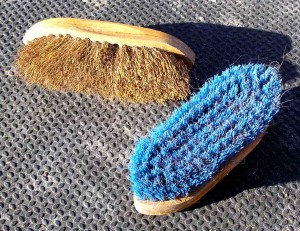 dandy brushes for grooming horses