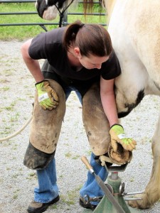 Hoof trimming demo during a workshop