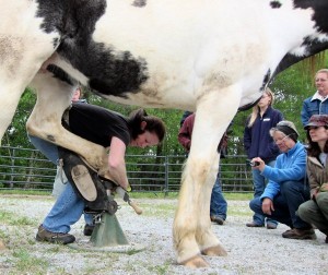 Demonstrating trimming technique during a workshop