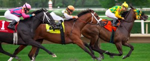 Racing Thoroughbreds at Arlington Park